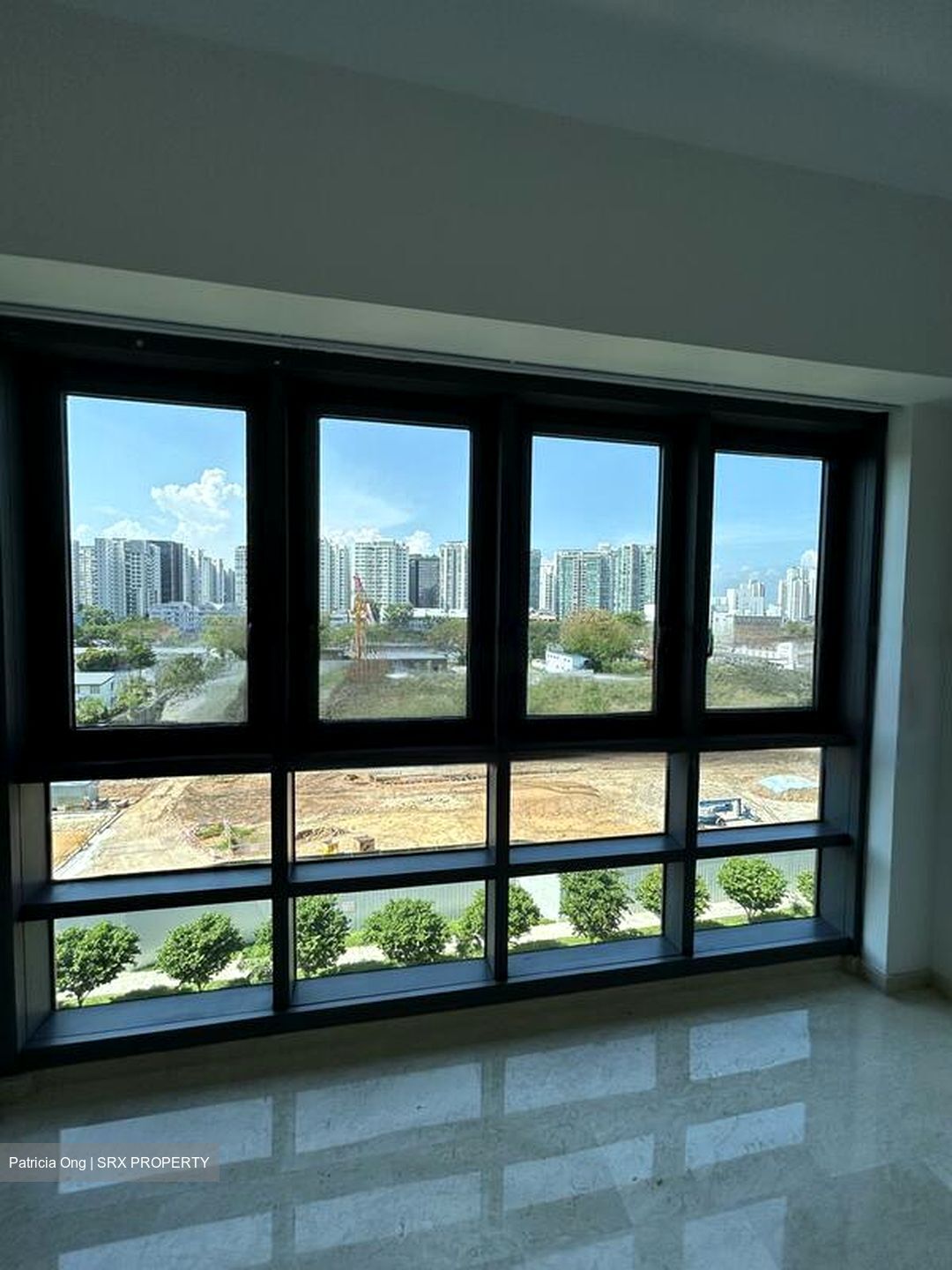 Haig Court (D15), Condominium #578655291